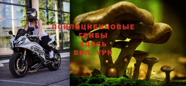 бошки Алексеевка